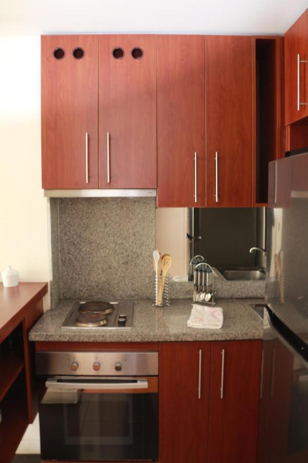 Austral Rentahome Nueva Providencia Appartamento Santiago del Cile
